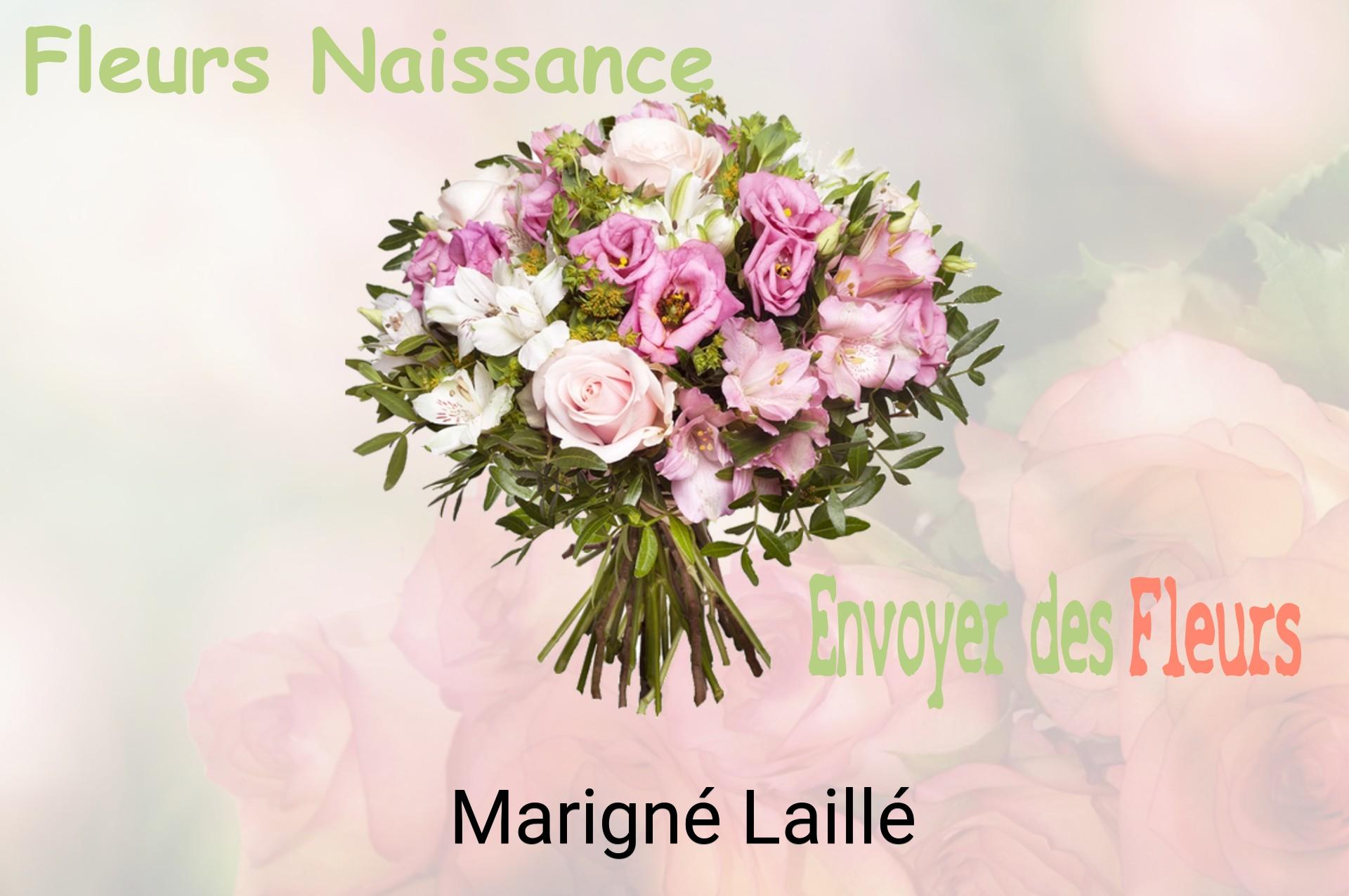 Bouquet de fleurs de naissance livré à Marigné-Laillé